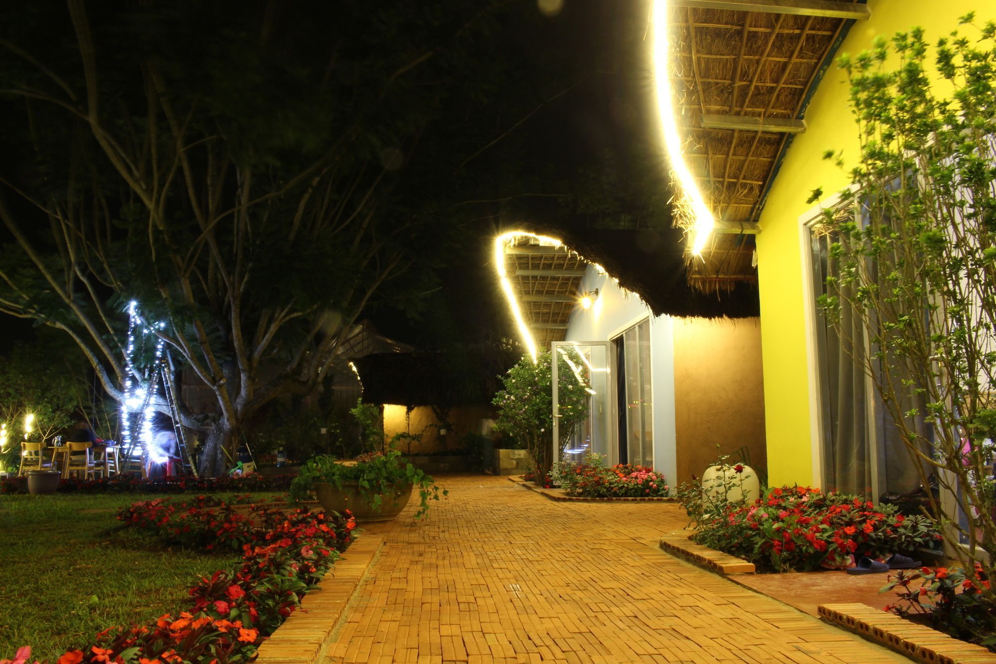 Cocoon Bungalow 大叻 外观 照片